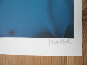 Paul Wunderlich - Tete d' une femme, bleu - Lithografie - Handgesigneerd kopen? Bied vanaf 65!