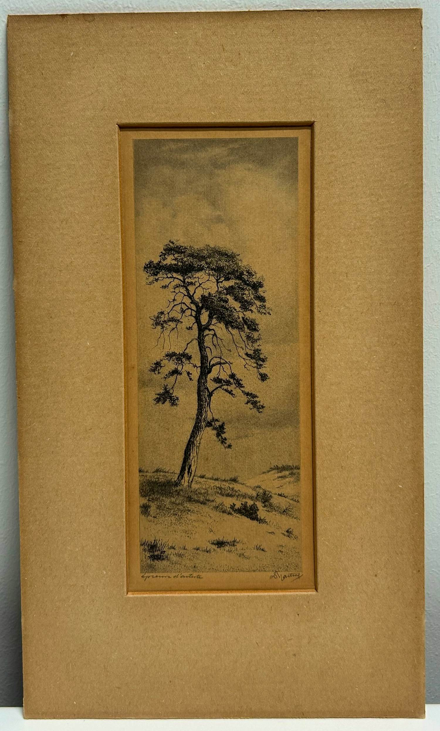 Dirk Harting - Duinlandschap kopen? Bied vanaf 30!