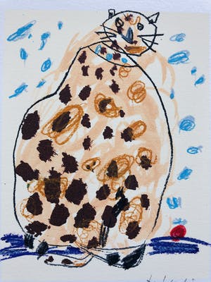 Kees Salentijn - Mijn kater kopen? Bied vanaf 45!