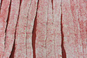 Anneke Copier - & Claudio Varone, Vilten wandkleed (Zeer groot) kopen? Bied vanaf 1!