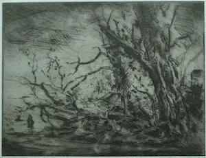 Wim Steijn - Ingelijste ets , Bos bij Haarlem – 1974 – Lijst, 37½ x 45½ cm. kopen? Bied vanaf 60!