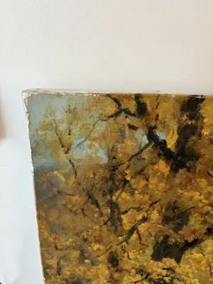 Robert Wood - Forest kopen? Bied vanaf 20!