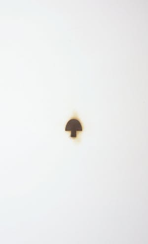 Jan van Munster - Pyrografie, Nuclear Engery kopen? Bied vanaf 50!