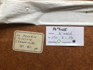 Roeland Pietersz D'Haese - "De Hogergeplaatste" kopen? Bied vanaf 200!