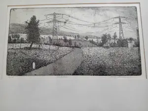 Folly Miedema - ETS LIMBURGS LANDSCHAP kopen? Bied vanaf 20!