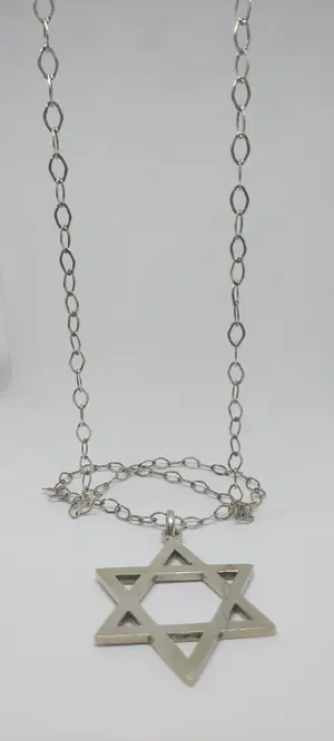 Prachtig Lange Zilveren (925) Collier met Hanger kopen? Bied vanaf 65!
