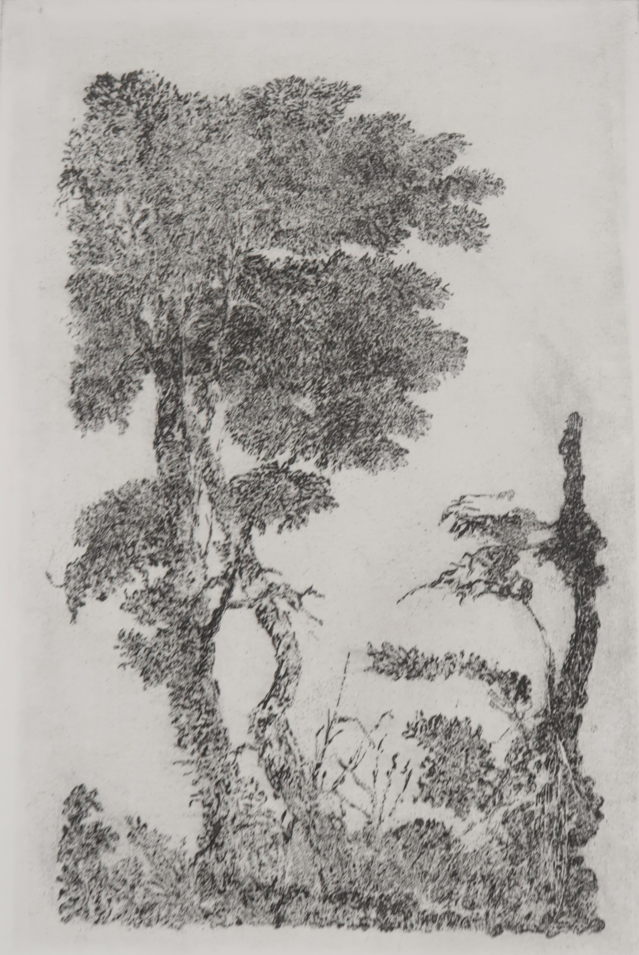 Gerard Bellaart - Lotje (D) met 6 etsen op papier kopen? Bied vanaf 1!