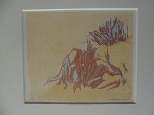 Jan Hein van Rooy - Litho, Plant Agave kopen? Bied vanaf 25!