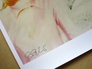 Stefanie Schneider - Long Way Home (1999) - XL - Proof 2015 - handgesigneerd kopen? Bied vanaf 325!