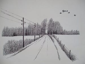 Ari Stolk - 4 landschappen met vogels kopen? Bied vanaf 1!