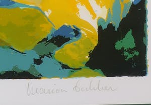 Marion Bakker - Zeefdruk, Paesaggio del fiori - Ingelijst kopen? Bied vanaf 20!