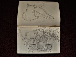 Gerard Schaperkotter - schetsboek jaren 60 in inkt / pastel en potlood - div. voorstellingen kopen? Bied vanaf 34!