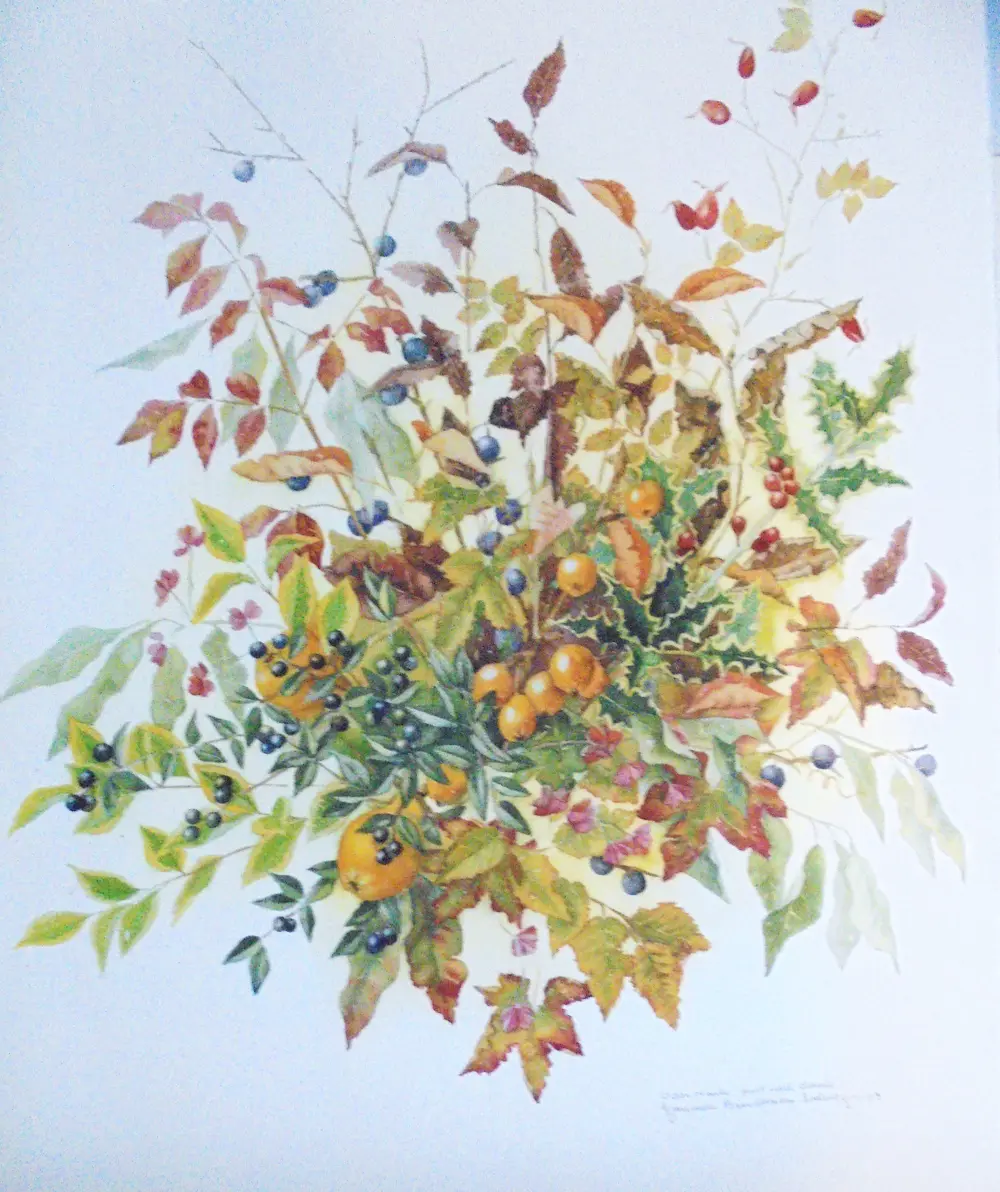 Janneke Brinkman-Salentijn (1948)