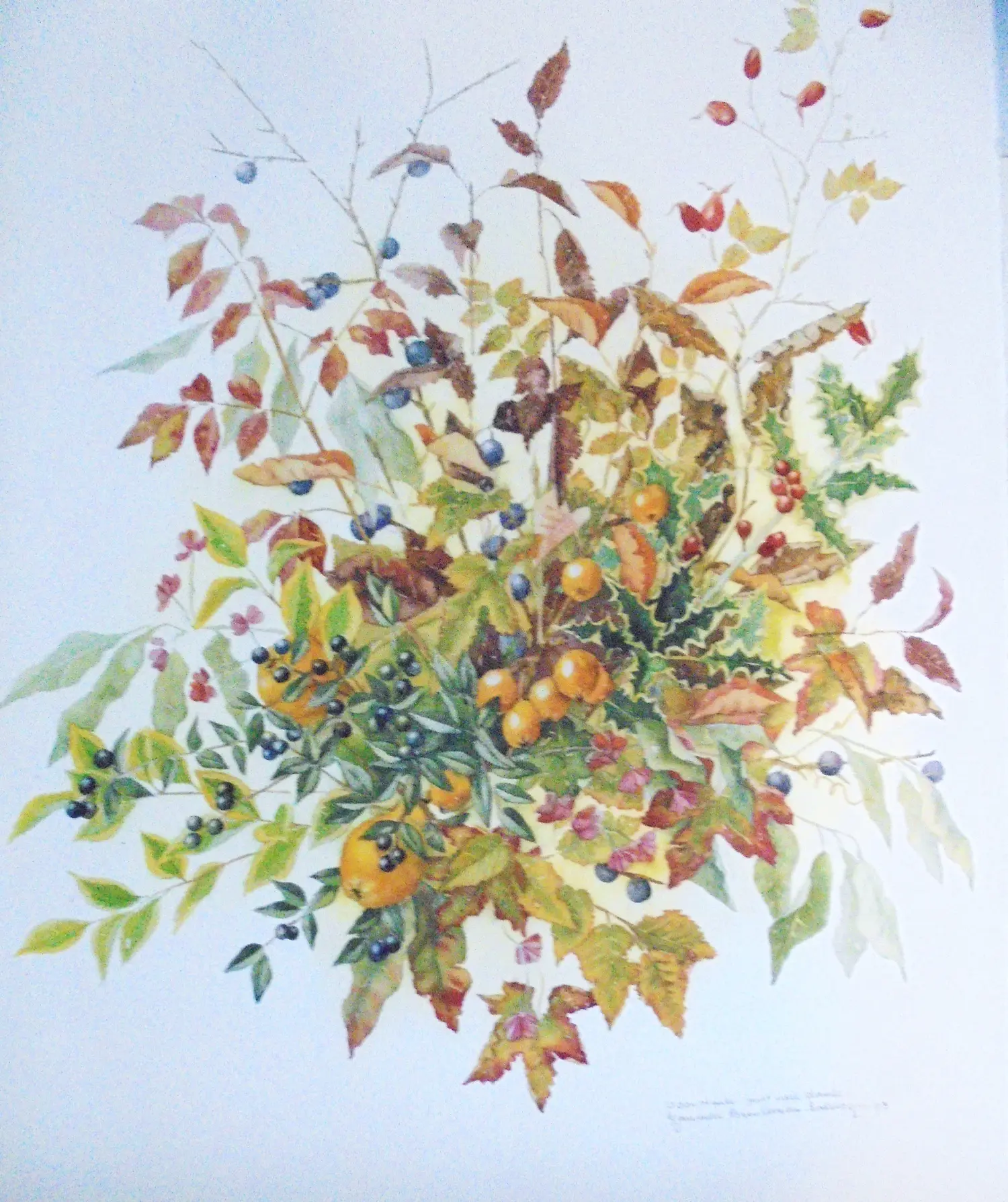 Janneke Brinkman-Salentijn (1948)