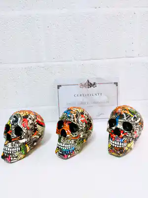 Hannes D'Haese - Skulls verkocht voor € 150!