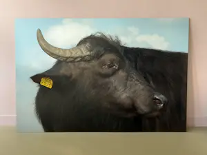 AcheterRini Hurkmans - Buffel? Enchérissez de 50!