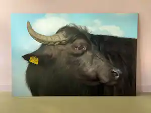 Rini Hurkmans - Buffel verkauft für € 60!