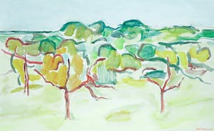 Paul Overhaus - Olieverf op doek, Bomen Portugal III - Ingelijst kopen? Bied vanaf 70!