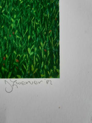 Dolf Zwerver - jongeman op fiets kopen? Bied vanaf 100!