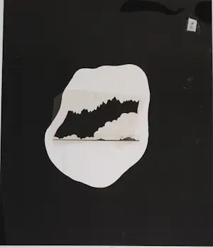 Han Jansen - Han Jansen – uniek lot zeefdrukvellen en zeefdruk kopen? Bied vanaf 20!