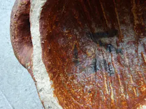 Jan van Stolk - zeldzame plastiek van een op de loer liggende kat kopen? Bied vanaf 145!