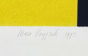 Marc Ruygrok - 'ZO' (1993) - Ingelijst kopen? Bied vanaf 35!