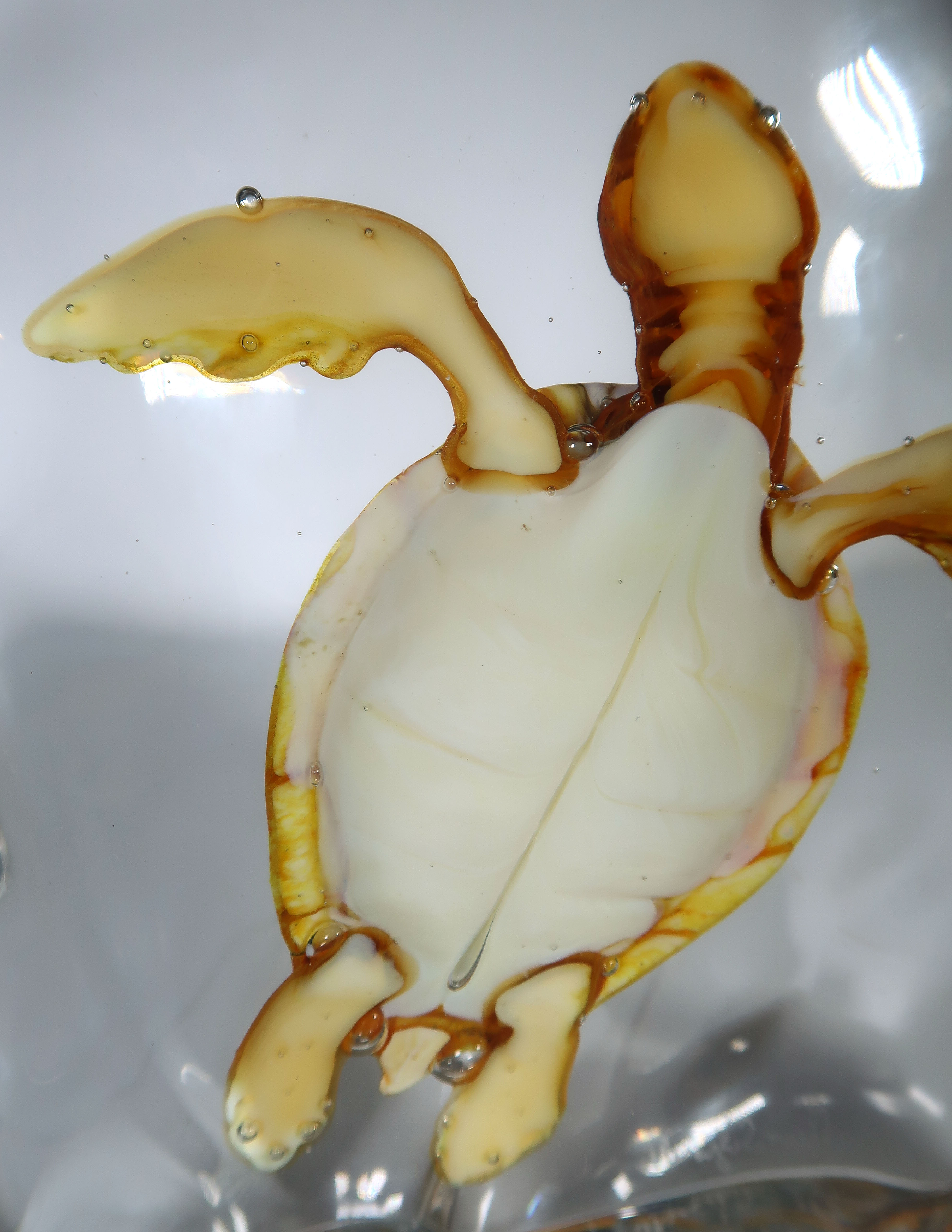 Pino Signoretto - Glas unica, Handgevormde schildpad omsloten door glas (Zwaar) kopen? Bied vanaf 1000!