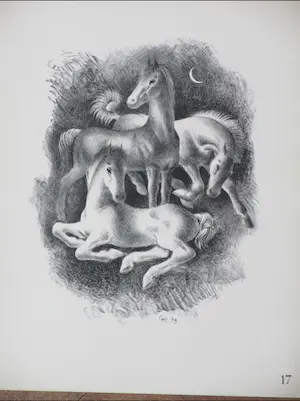 Ge Roling - Veulens - Litho kopen? Bied vanaf 1!