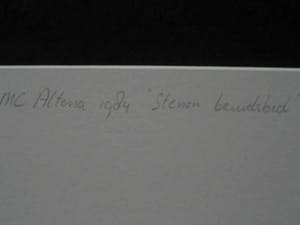 Niet of onleesbaar gesigneerd - Stenen Bruidsbed .(Jan M.C. Altena) kopen? Bied vanaf 10!
