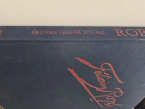 Felicien Rops - Catalogue raisonne de l'oeuvre grave et lithographie kaufen? Bieten Sie von 525!