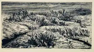 Wim Steijn - Duinlandschap 1955 verkauft für € 35!