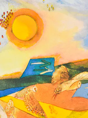 Susan Schildkamp - De uilen wijzen de weg kopen? Bied vanaf 25!