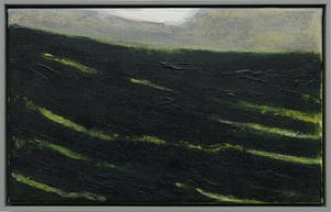 Paul Corvers - Akker kopen? Bied vanaf 225!