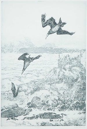 Rins Heidema - Ets, Zeevogel kopen? Bied vanaf 20!