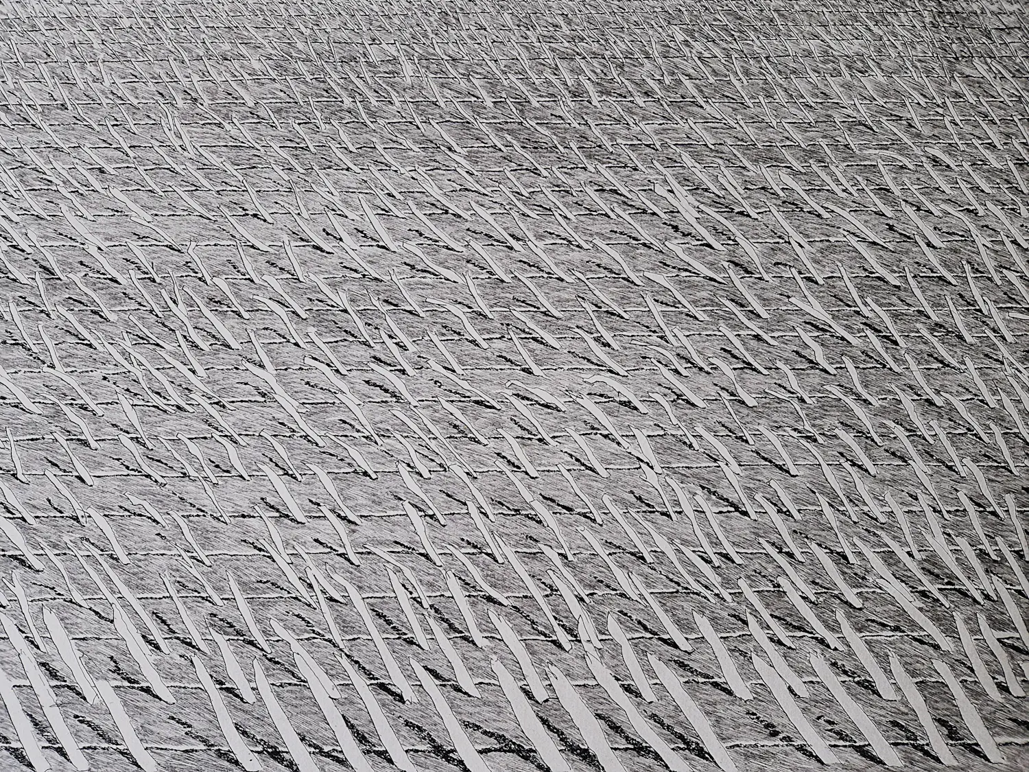 Jan Hein van Rooy (1940)