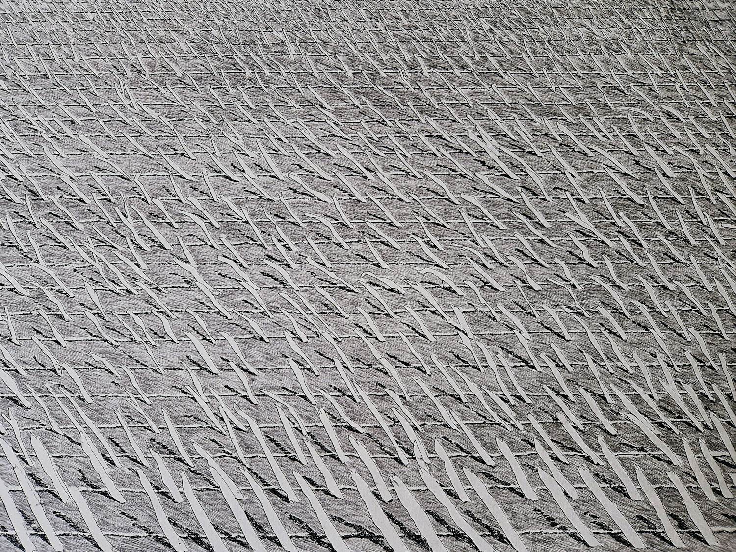 Jan Hein van Rooy - fraai portfolio met 2 Litho's "Westakker" en "Oostakker" - gesigneerd kopen? Bied vanaf 39!