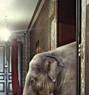 Mr. Strange - Young Maharaja kopen? Bied vanaf 50!