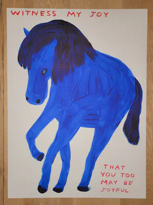 David Shrigley - Witness My Joy kopen? Bied vanaf 1900!