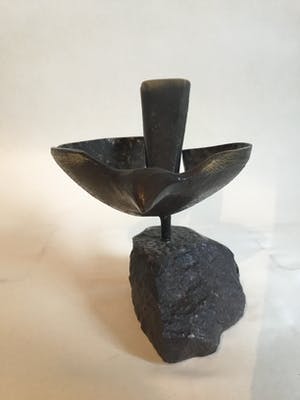 Brons (Onbekend) - Vogel kopen? Bied vanaf 10!