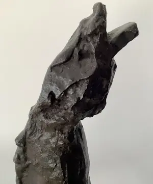 Ger Lataster - Paard kopen? Bied vanaf 975!