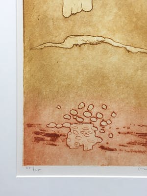 Jan Montyn - kleurenets - 1996 - oplage 25 - ingelijst kopen? Bied vanaf 135!