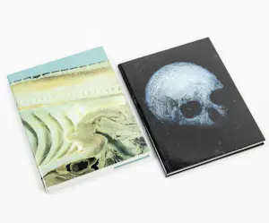 Damien Hirst - gesigneerd, 'Requiem I en II', exclusieve uitgave in linnen slipcase kopen? Bied vanaf 990!