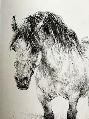 Piet Klaasse - Paarden, proefdruk offsetlitho, 2-zijdig bedrukt, gesigneerd in druk verkocht voor € 50!