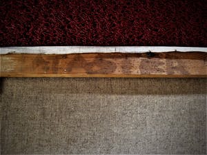 Niet of onleesbaar gesigneerd - Intrigerend in 1954 naïef geschilderd portret van vrouw - gesigneerd kopen? Bied vanaf 1!