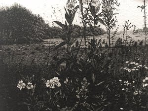 Simon Koene - Groot Hollands landschap kopen? Bied vanaf 75!