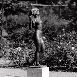 Pieter d' Hont - Staand naakt oplage van 6 kopen? Bied vanaf 2700!