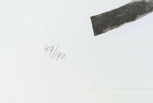 Klaas Gubbels - 'Roze kan' (1977) - Nieuwe lijst kopen? Bied vanaf 485!