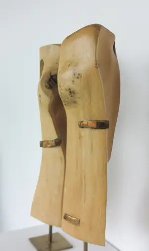 Frans Kokshoorn - Set van twee sculpturen van hout met metalen elementen kopen? Bied vanaf 200!