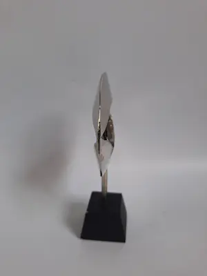 Corry Ammerlaan - Oog voor elkaar kopen? Bied vanaf 35!