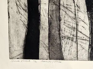 Hannes Postma - Grote zwart wit Ets Aquatint - 1963 - bewoonde grens" zeer kleine oplage (5/12) kaufen? Bieten Sie von 46!